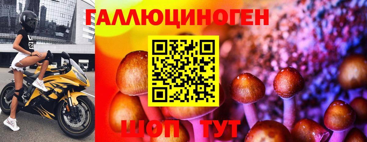 Галлюциногенные грибы Cubensis Махачкала